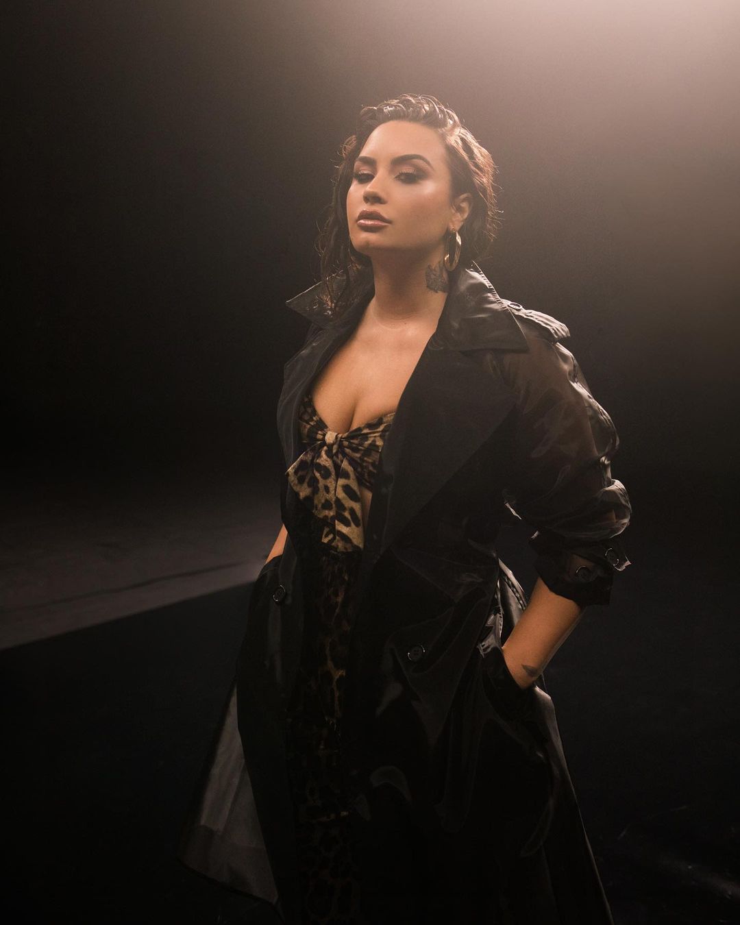Demi Lovato - Biography, Profile, Facts and Career