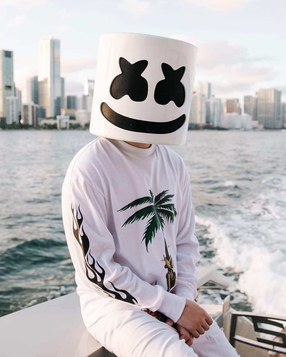 Marshmello - Biography, Profile, Facts, and Career