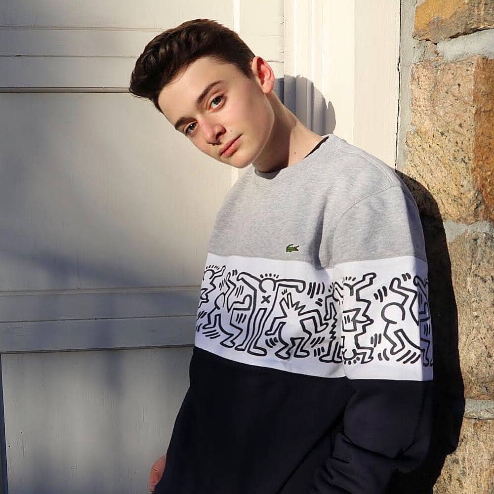 Noah Schnapp - Biography, Profile, Facts, and Career