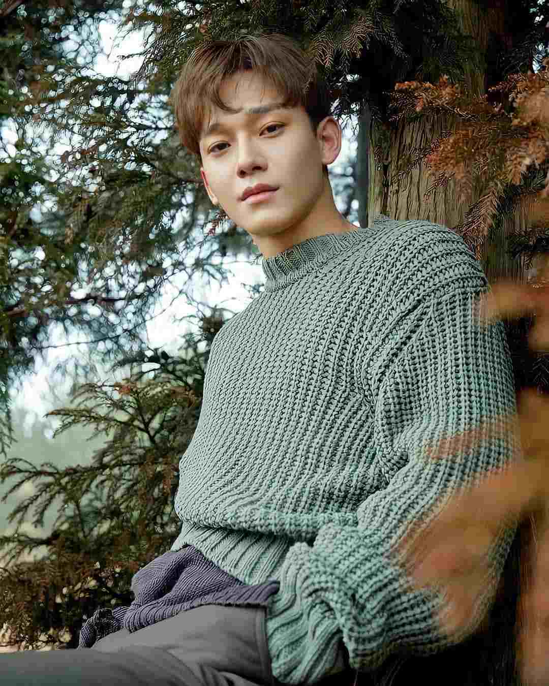 Chen EXO - Biography, Profile, Facts, and Career