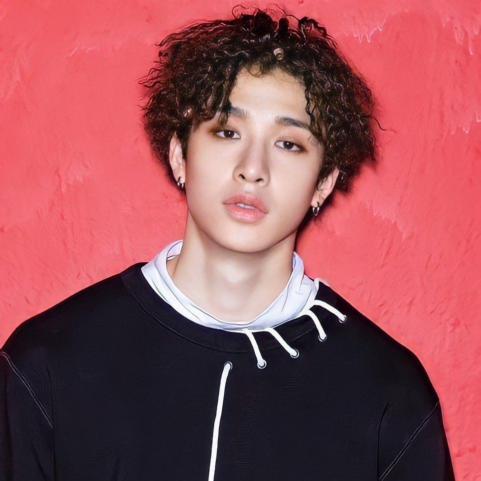 Member of Stray Kids - Biography, Profile, Facts, and Career