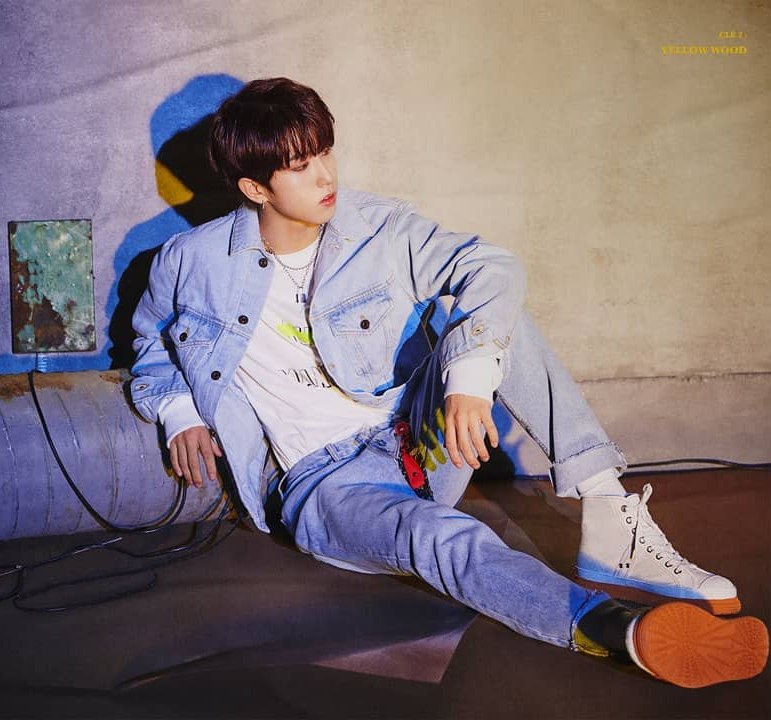 Han Stray Kids - Biography, Profile, Facts, and Career