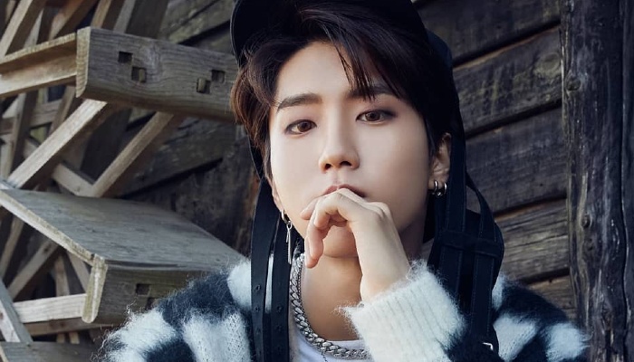 Han Stray Kids - Biography, Profile, Facts, and Career