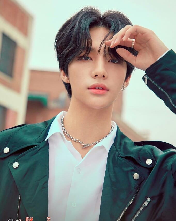 Prince Stray Kids - Biography, Profile, Facts, and Career