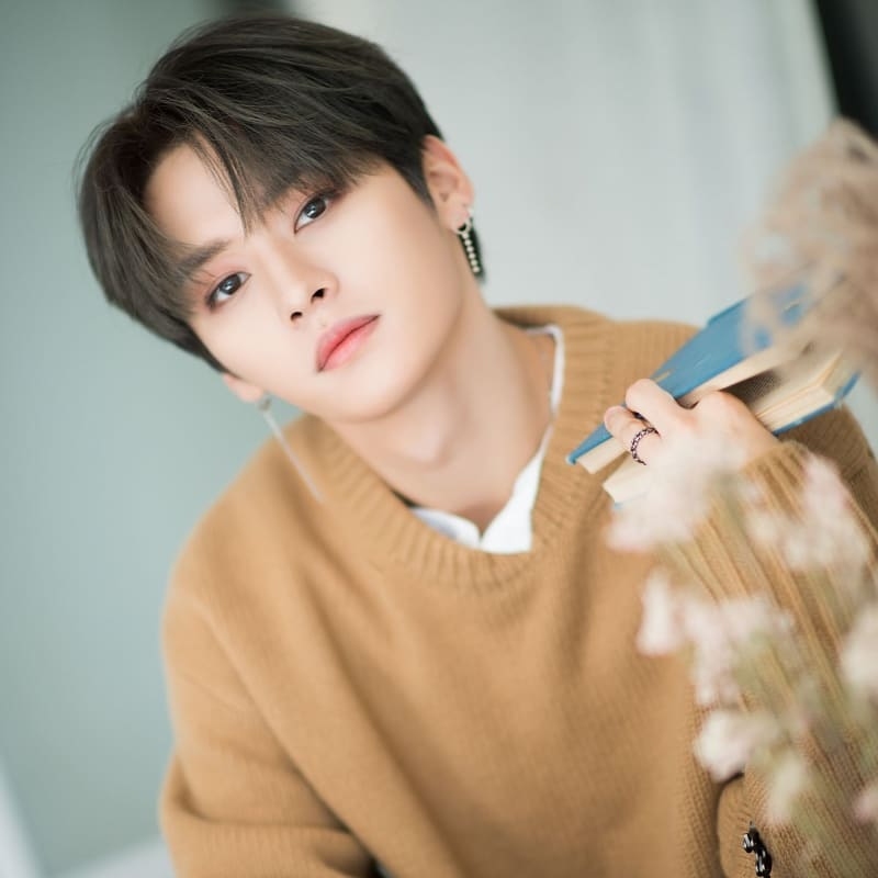 Lee Know (Stray Kids) - Bio, Profile, Facts, Age, Ideal Type