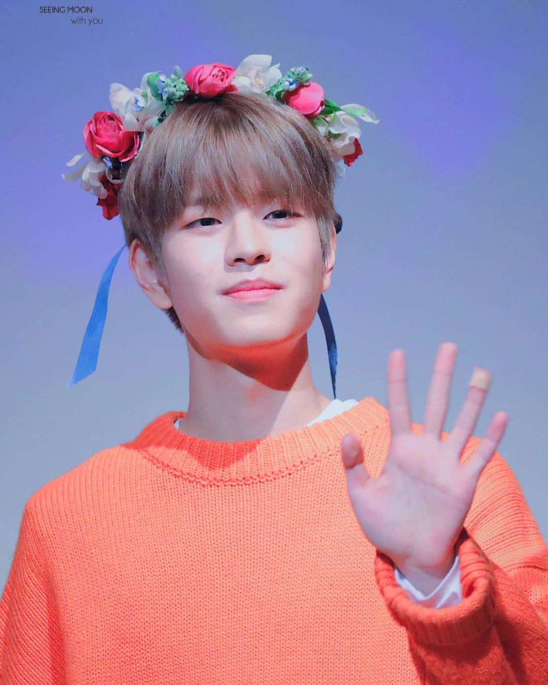 Seungmin Stray Kids - Biography, Profile, Facts, and Career
