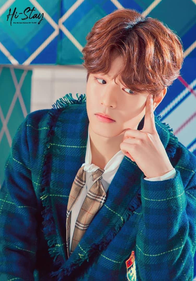 Seungmin - Biography, Profile, Facts, and Career
