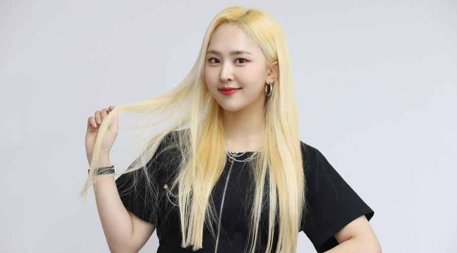 Jungwoo BVNDIT - Biography, Profile, Facts, and Career